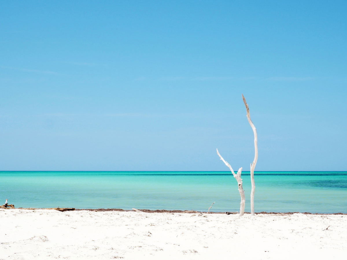 Strand Cayo Levisa Kuba