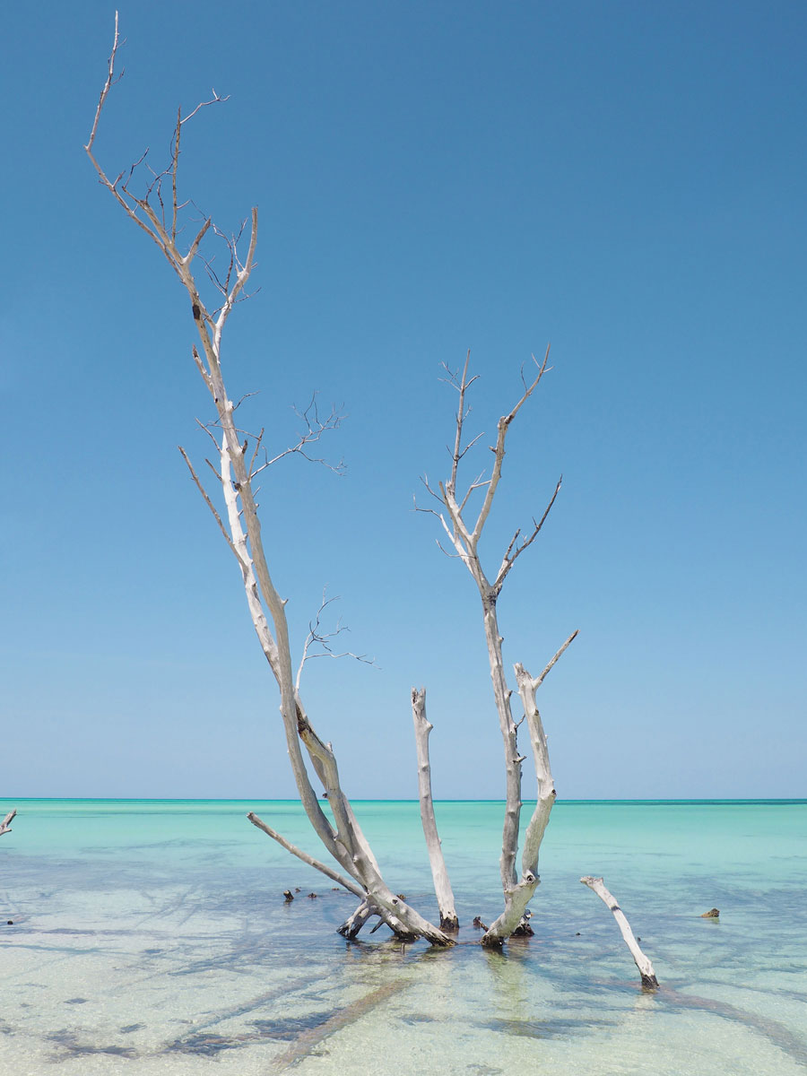 Strand Cayo Levisa Kuba