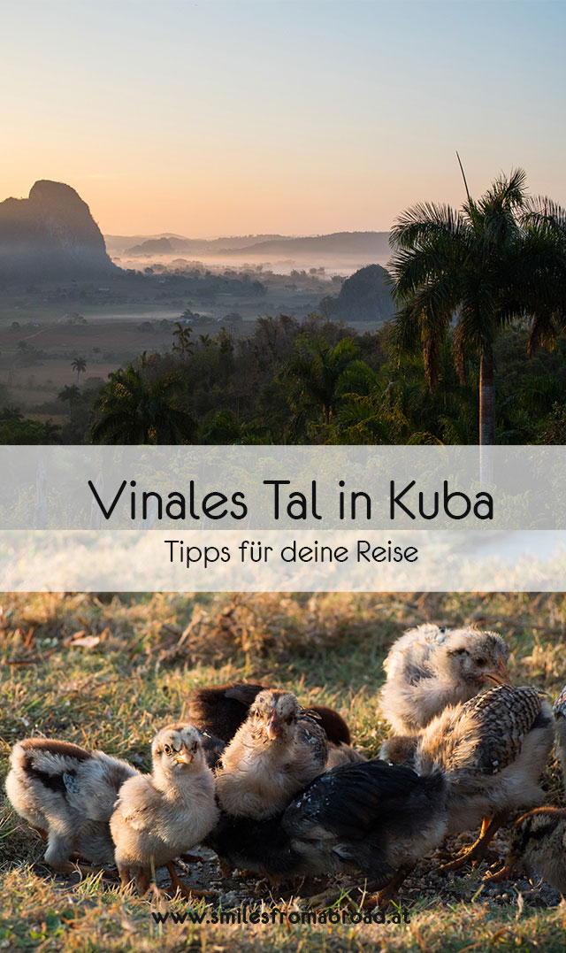 vinales pinterest3 - 6 Reisetipps für das Vinales Tal in Kuba