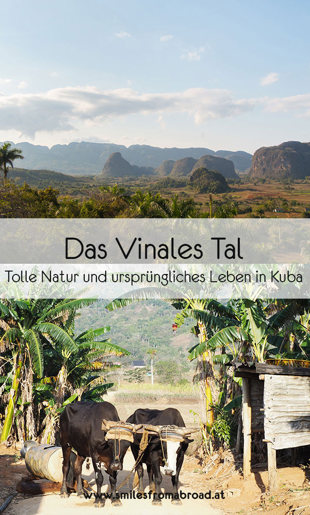 vinales pinterest4 - 6 Reisetipps für das Vinales Tal in Kuba